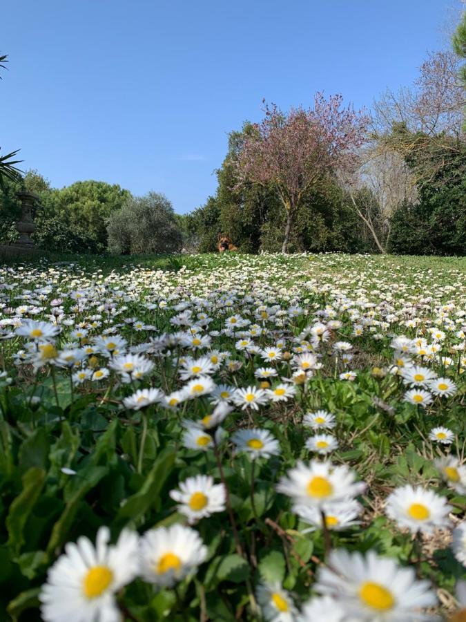 مبيت وإفطار ناربون Le Jardin De Lacoste المظهر الخارجي الصورة