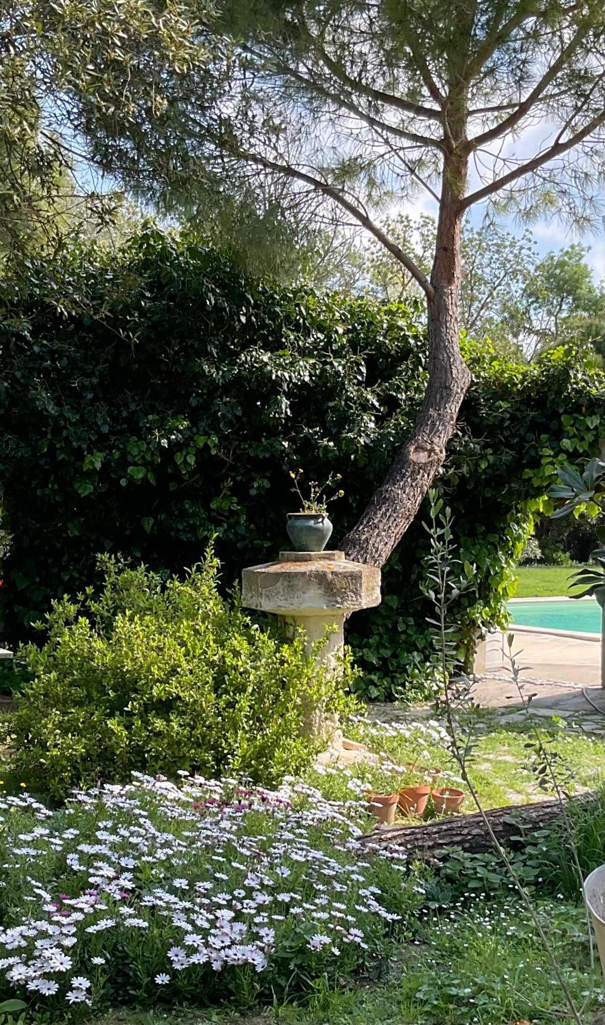 ناربون Le Jardin De Lacoste المظهر الخارجي الصورة